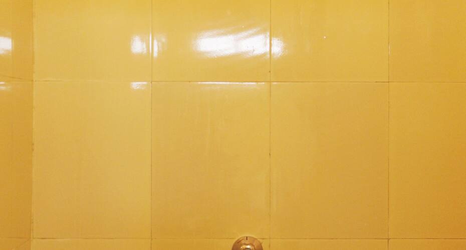 Hotel Ashoka, Jaisalmer 4